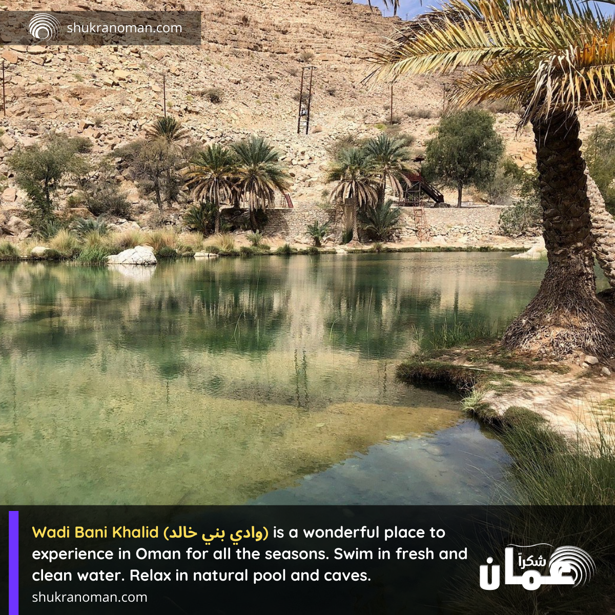 wadi bani khalid