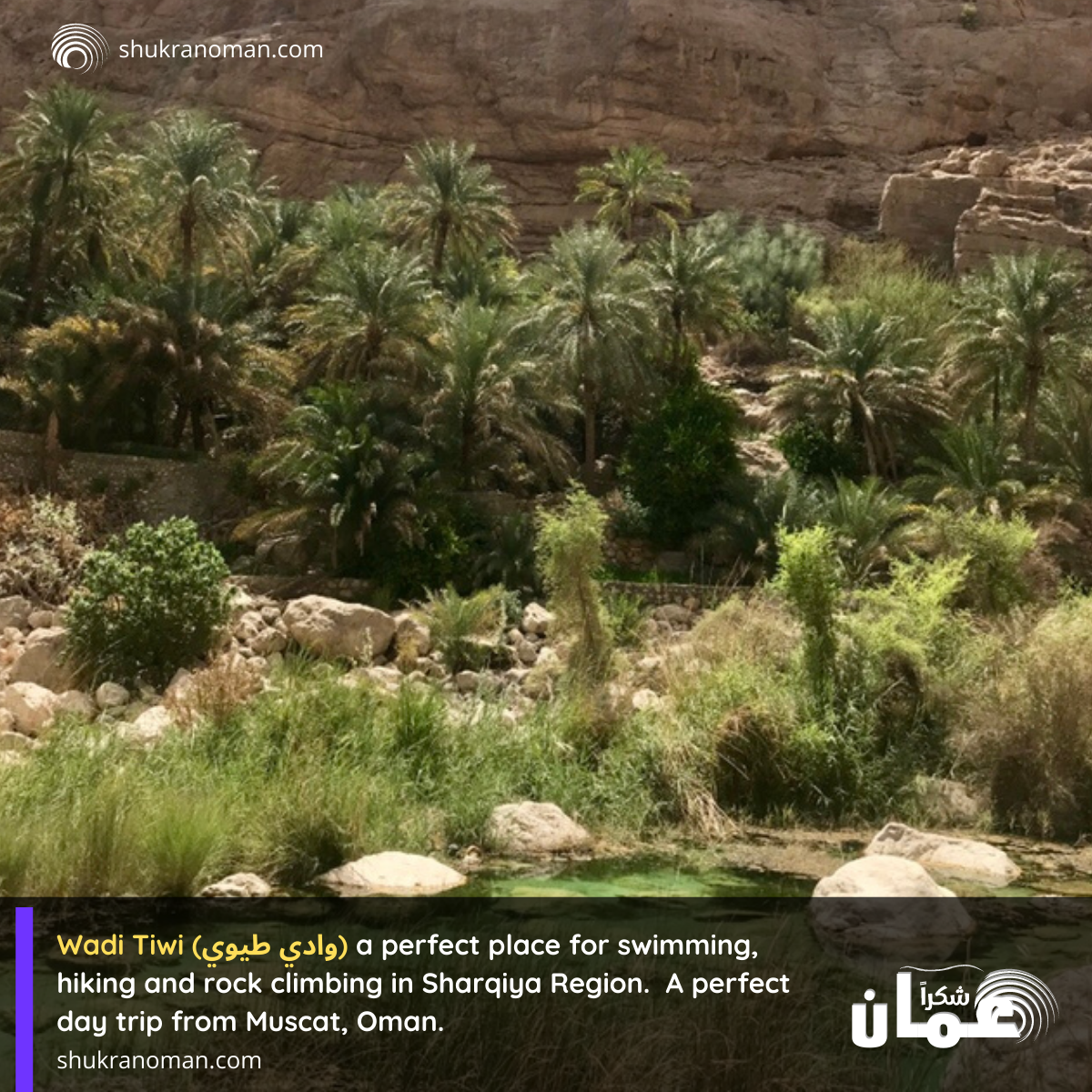 wadi tiwi