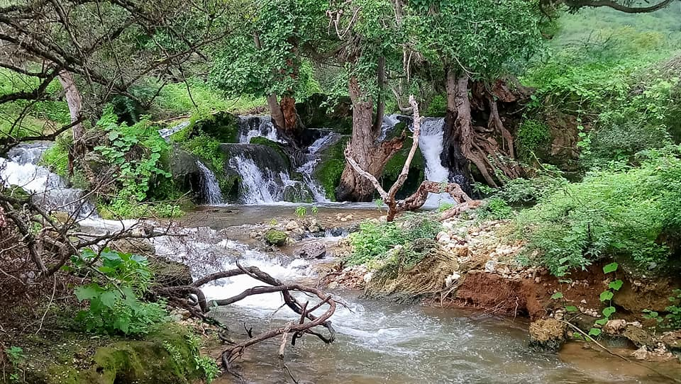 Top 10 Salalah Tourist Places