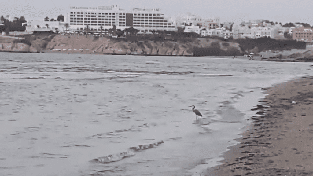 Top 10 Tourist Places in Muscat Oman